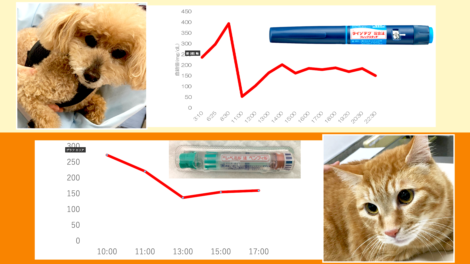 レベミルと他の薬剤との相互作用