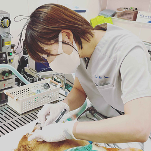 下田有希
